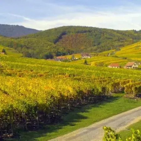 Apartament Le Petit Pelerin *